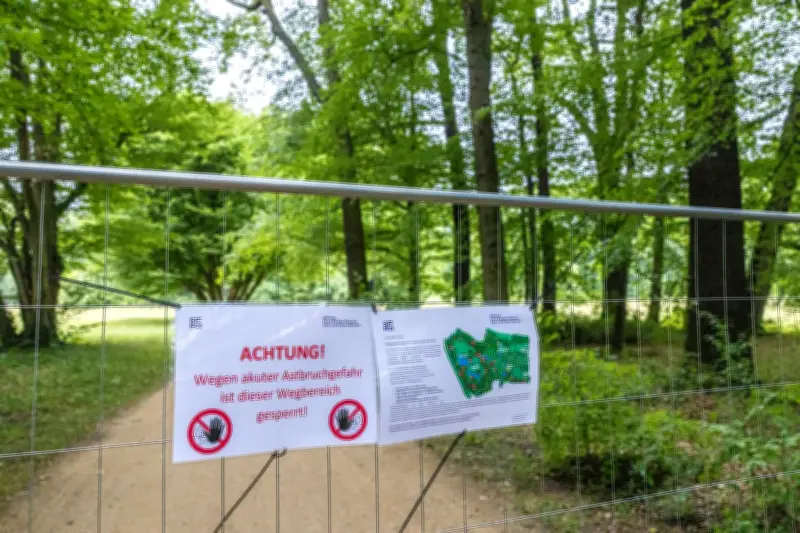 Branitzer Innenpark: Wegen Baumfällarbeiten teilweise gesperrt