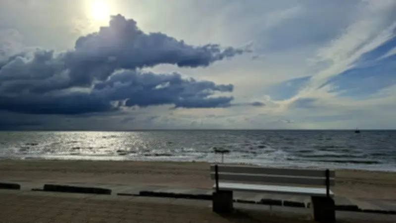 Schweinswal-Kadaver auf Norderney entfernt