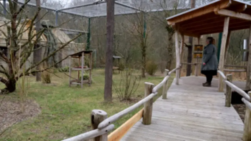 Tierpflegerin Sabrina Jung: Ihre Berufung im Vogelpark Marlow