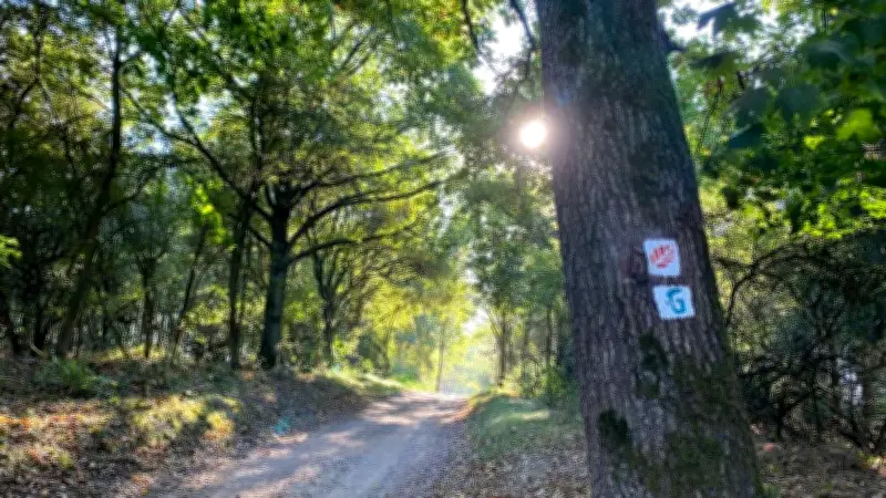 Uckermark: Tourismus bringt 307,9 Millionen Euro Umsatz