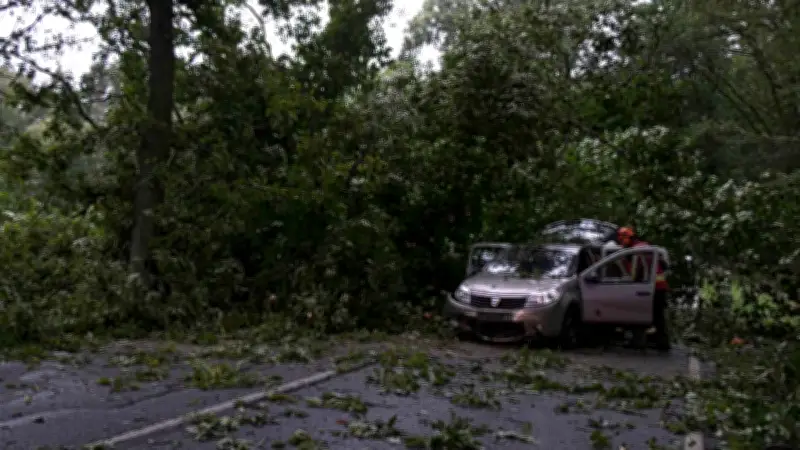 Unwetter: Eiche kippt vor Auto – zwei Bundesstraßen voll gesperrt