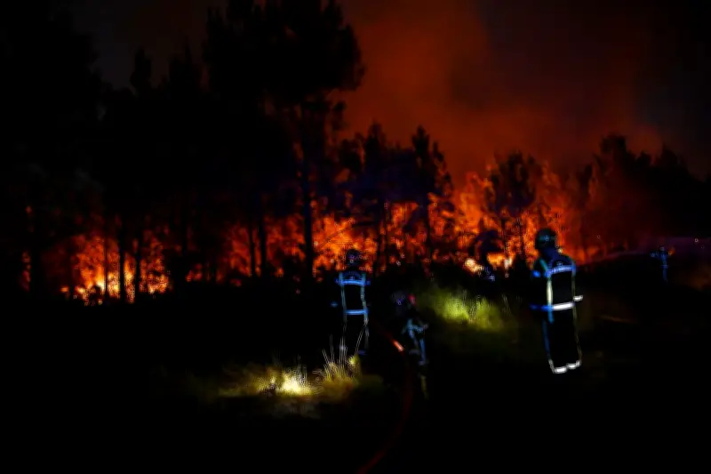 Waldbrände bei Bordeaux: Feuerwehr kämpft gegen neue Flammen