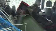 19 Huskys aus Kastenwagen gerettet: Bundespolizei stoppt Tier-Transport
