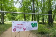 Branitzer Innenpark: Wegen Baumfällarbeiten teilweise gesperrt