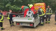 Großes Aufräumen nach Waldbrand im Müritz-Nationalpark begonnen