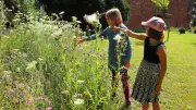 Kreativer Schmetterlingstag für Hortkinder in Eickelberg