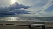 Schweinswal-Kadaver auf Norderney entfernt