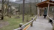 Tierpflegerin Sabrina Jung: Ihre Berufung im Vogelpark Marlow