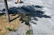 Ungewöhnlich warmer Juli in Berlin und Brandenburg