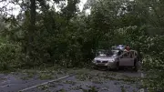 Unwetter: Eiche kippt vor Auto – zwei Bundesstraßen voll gesperrt
