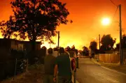 Waldbrand bei Bordeaux: Fast 20.000 Menschen evakuiert