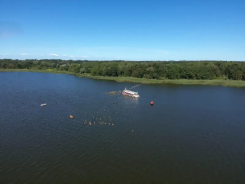 17. Boddenschwimmen in Ribnitz-Damgarten über 1000 Meter