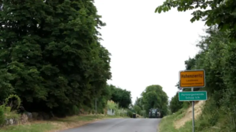 Baum fällen wird teurer: 600 Euro Ersatz in Neustrelitz Land