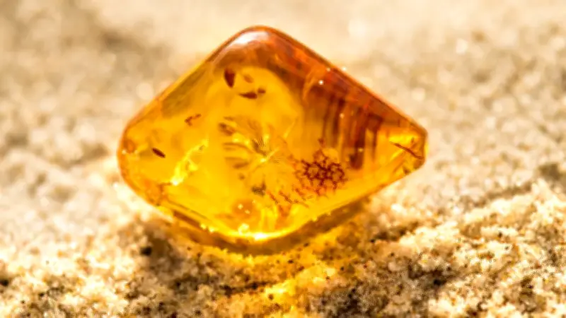 Bernstein: 6 faszinierende Fakten über das Gold der Ostsee
