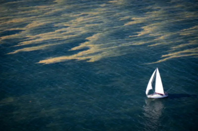 Blaualgen breiten sich an Ostsee und Seen in MV weiter aus