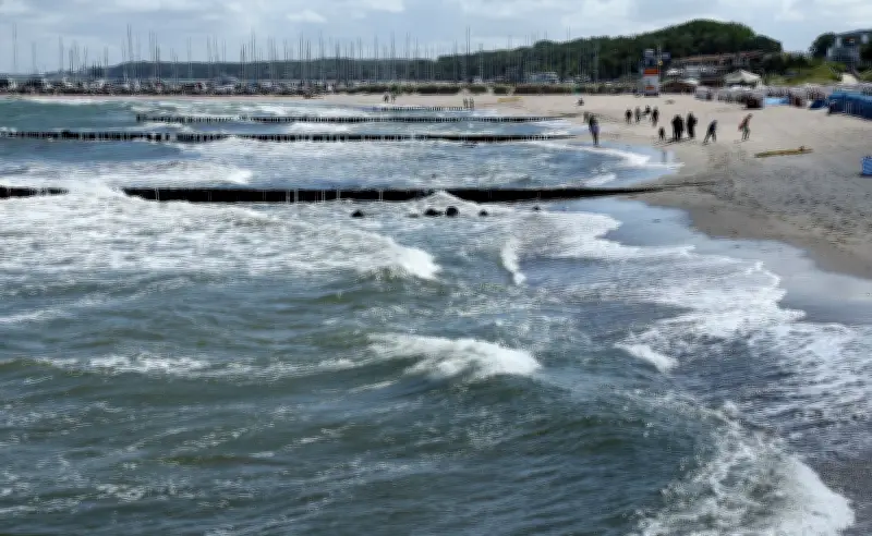 Blaualgen in Ostsee nachgewiesen: Stadt Rostock gibt Tipps zum Baden