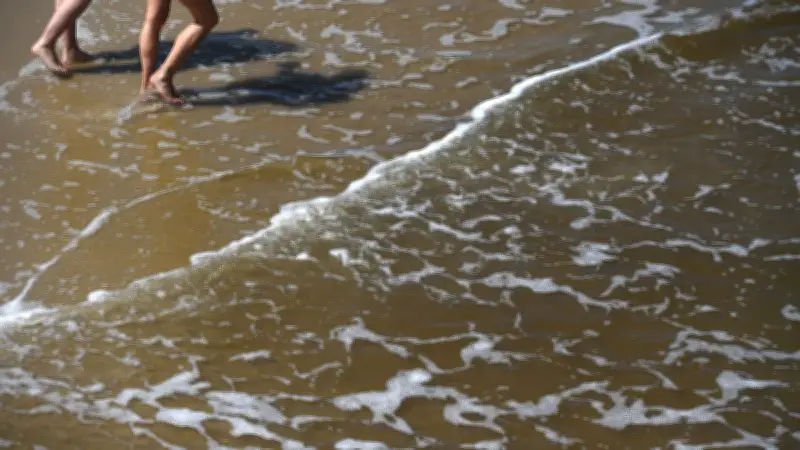 Blaualgen in Warnemünde: Badewarnung für Strandabschnitte 30 bis 36