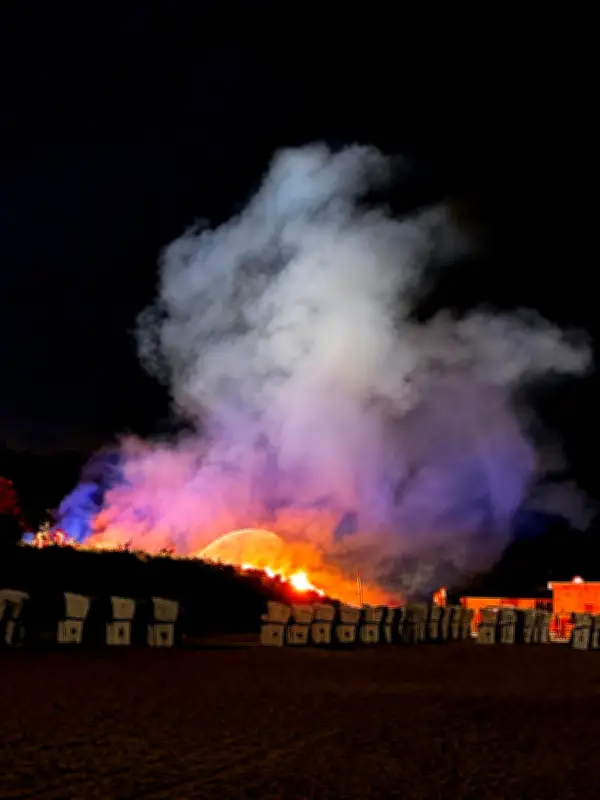 Dünenbrand in Warnemünde: Feuerwehr löscht Flammen schnell