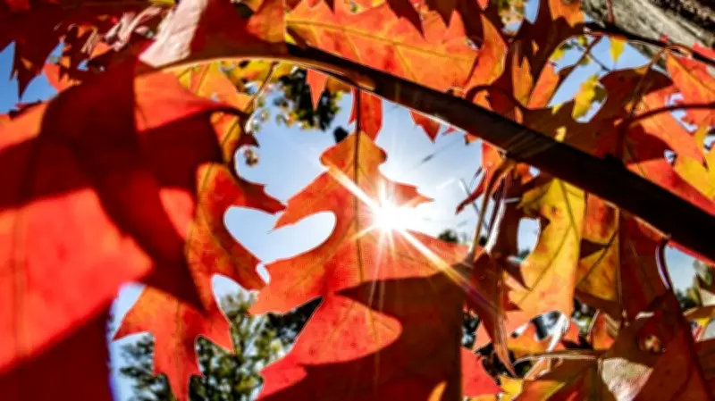 Eltern-Kind-Wochenende in Neubrandenburg: Herbst entdecken