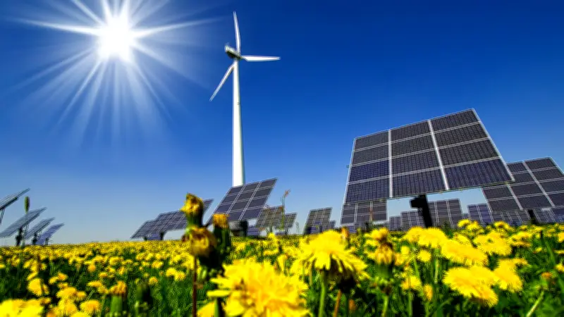 Energiepolitik in MV: Parteien im Vergleich zur Landtagswahl