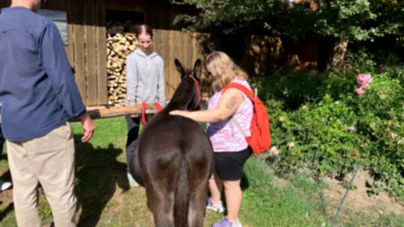 Eselwanderung in Bengerstorf: Zoé zeigt, wie Berührung stark macht