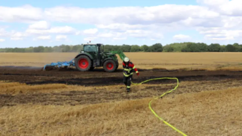 Feldbrand bei Volksdorf: Feuerwehr und Landwirt verhindern Schlimmeres