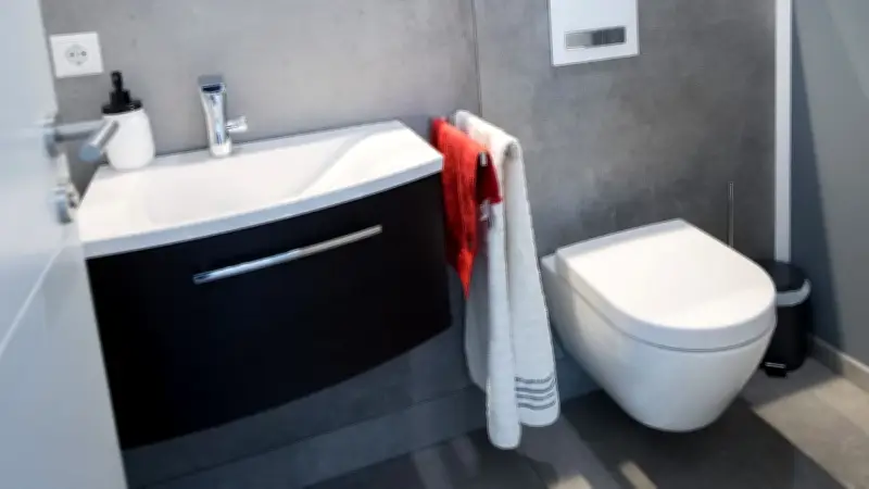Fledermaus im WC: Autor rettet Flattertier aus der Toilette