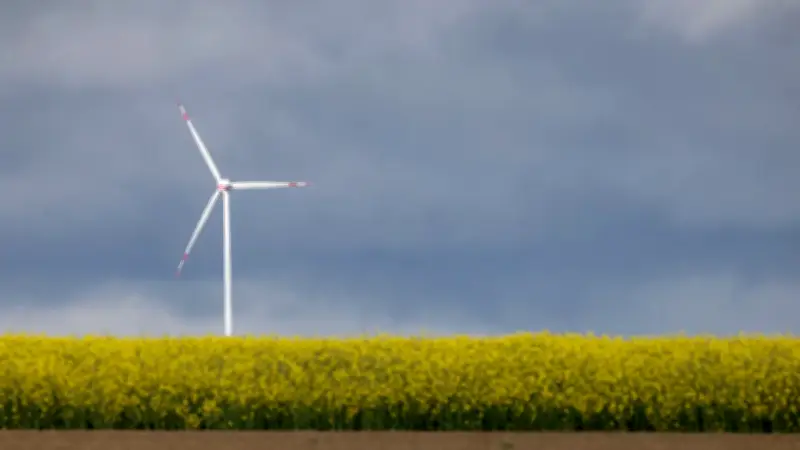 Fünf neue Windkraftanlagen in Ducherow und Blesewitz genehmigt