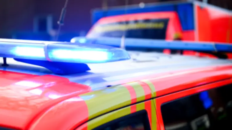 Frontalcrash auf Rügen: Sieben Verletzte, darunter drei Kinder