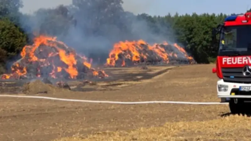 Großfeuer bei Möderitz: Wald gerettet, Strohballen kontrolliert abgebrannt