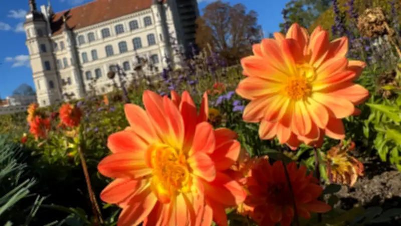 Güstrow zieht immer mehr internationale Gäste an