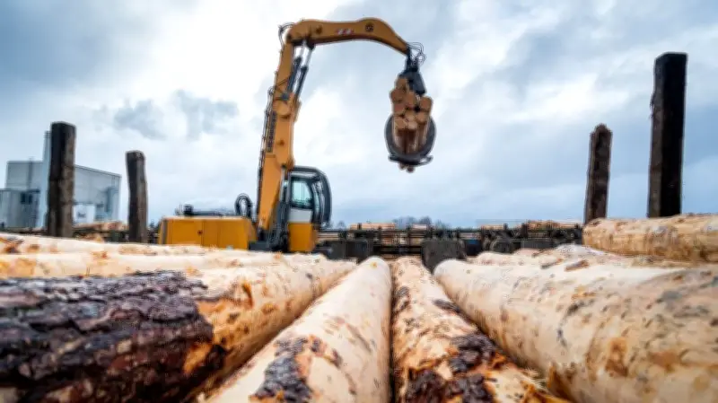 Holzmarkt in MV: Waldbesitzer und Betriebe im Gespräch