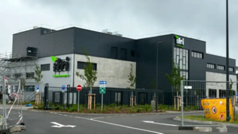 Ifri startet Produktion an der A24: 20 Tonnen Obst und Gemüse täglich