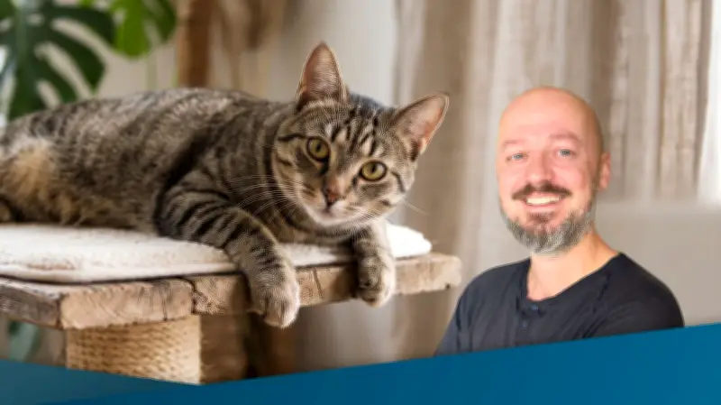 Katzen fallen immer auf die Pfoten – außer vom Kratzbaum