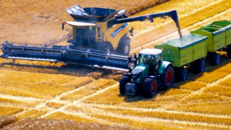 Landwirte in MV: Durchschnittsernte, aber Sorge um Fördermittel