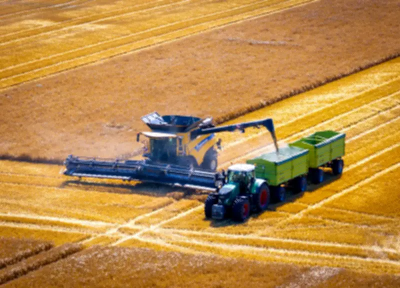 Landwirten in MV drohen dunkle Wolken aus Brüssel