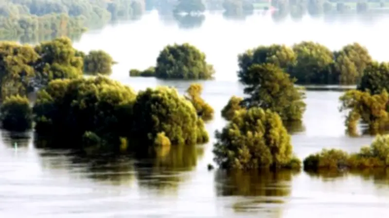 MV investiert 36,8 Millionen Euro in Elbe-Hochwasserschutz