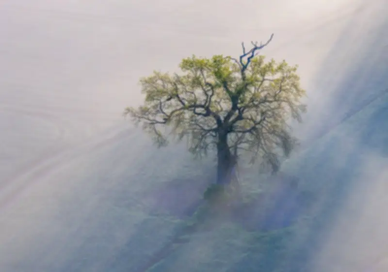 Nebel weicht: Sonne und bis zu 26 Grad in Mecklenburg-Vorpommern