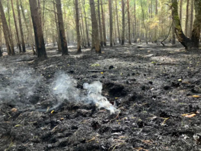 Schwelbrände im Müritz-Nationalpark: Keine Gefahr, aber kein Löschen möglich
