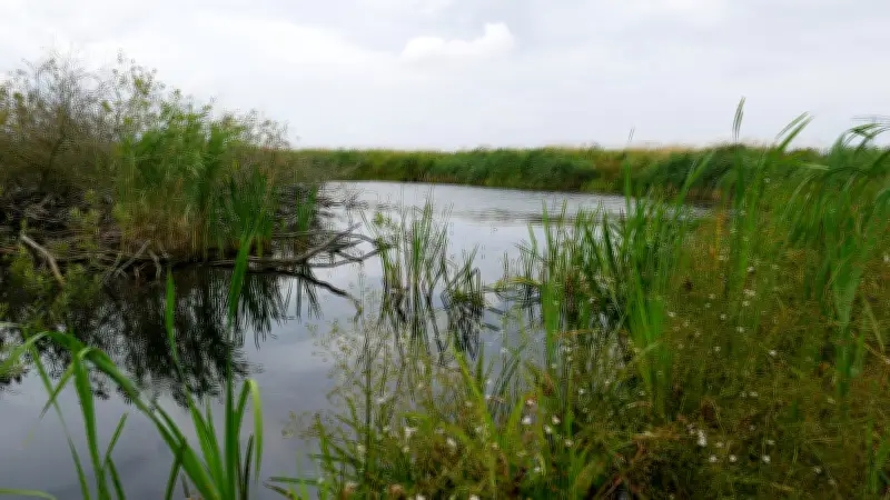 Sölle bei Dömitzow nach Pflege wieder mit Wasser gefüllt