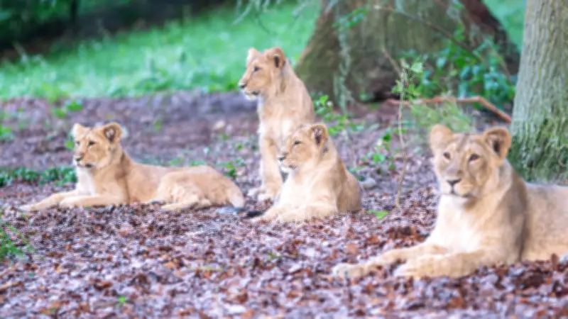 Sommer-Aktion: Ab 15 Uhr für 10 Euro in den Zoo