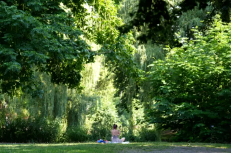 Sommerwetter im Norden: Bis zu 31 Grad am Wochenende