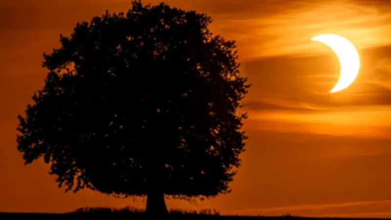 Sonnenfinsternis begeistert in MV – Fotograf hält den Moment fest