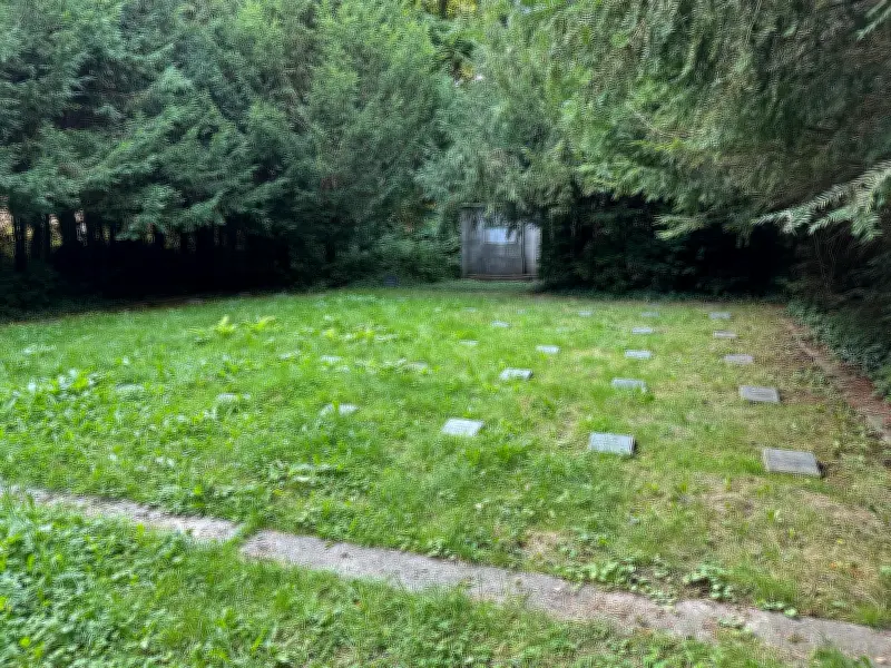 Stralsund: St. Jürgen-Friedhof wird neu gestaltet