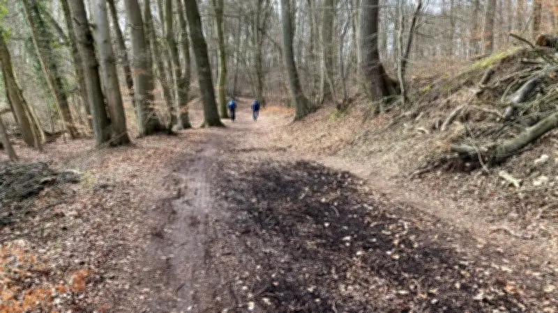 Streit um Uferweg-Ausbau in Schwerin spitzt sich zu