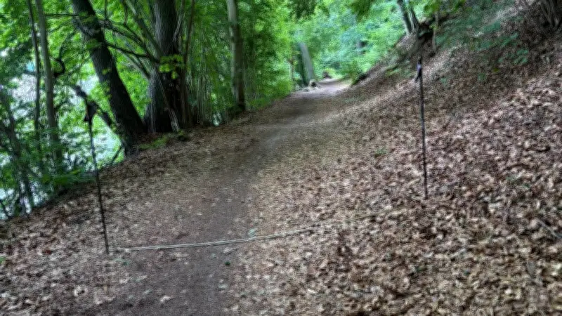 Streit um Waldweg: Anwohner fühlen sich von der Stadt übergangen