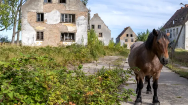 Verbotene Stadt an der Ostsee: DDR-Sperrgebiet Wustrow zerfällt