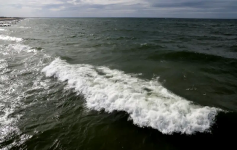 Wal vor Polens Ostseeküste gesichtet – gleiches Tier wie in MV?