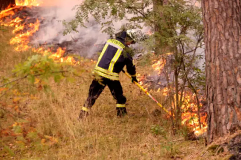 Waldbrand bei Grabow: Polizei prüft mögliche Brandstiftung