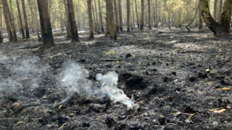 Waldbrand im Müritz-Nationalpark: Glutnester in Senke überwacht
